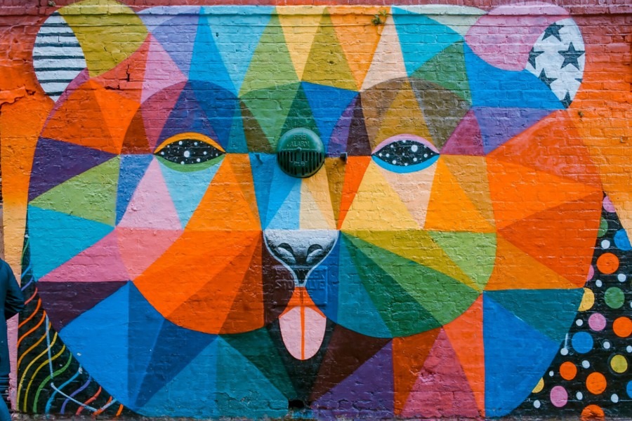 Kleurrijke beer mural